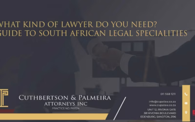 What Kind of Lawyer Do You Need? A Guide to South African Legal Specialities